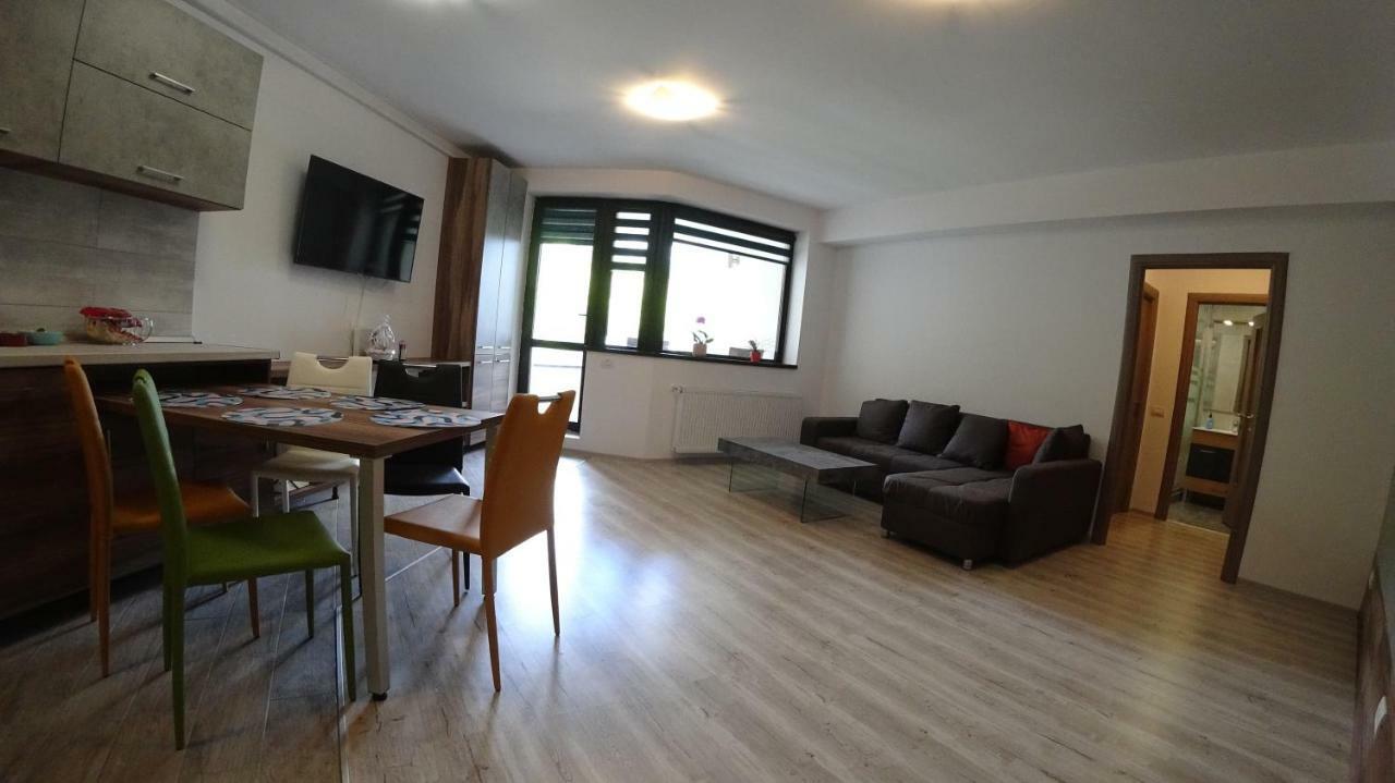Апартаменти Riky Apart Mountain View Сіная Екстер'єр фото