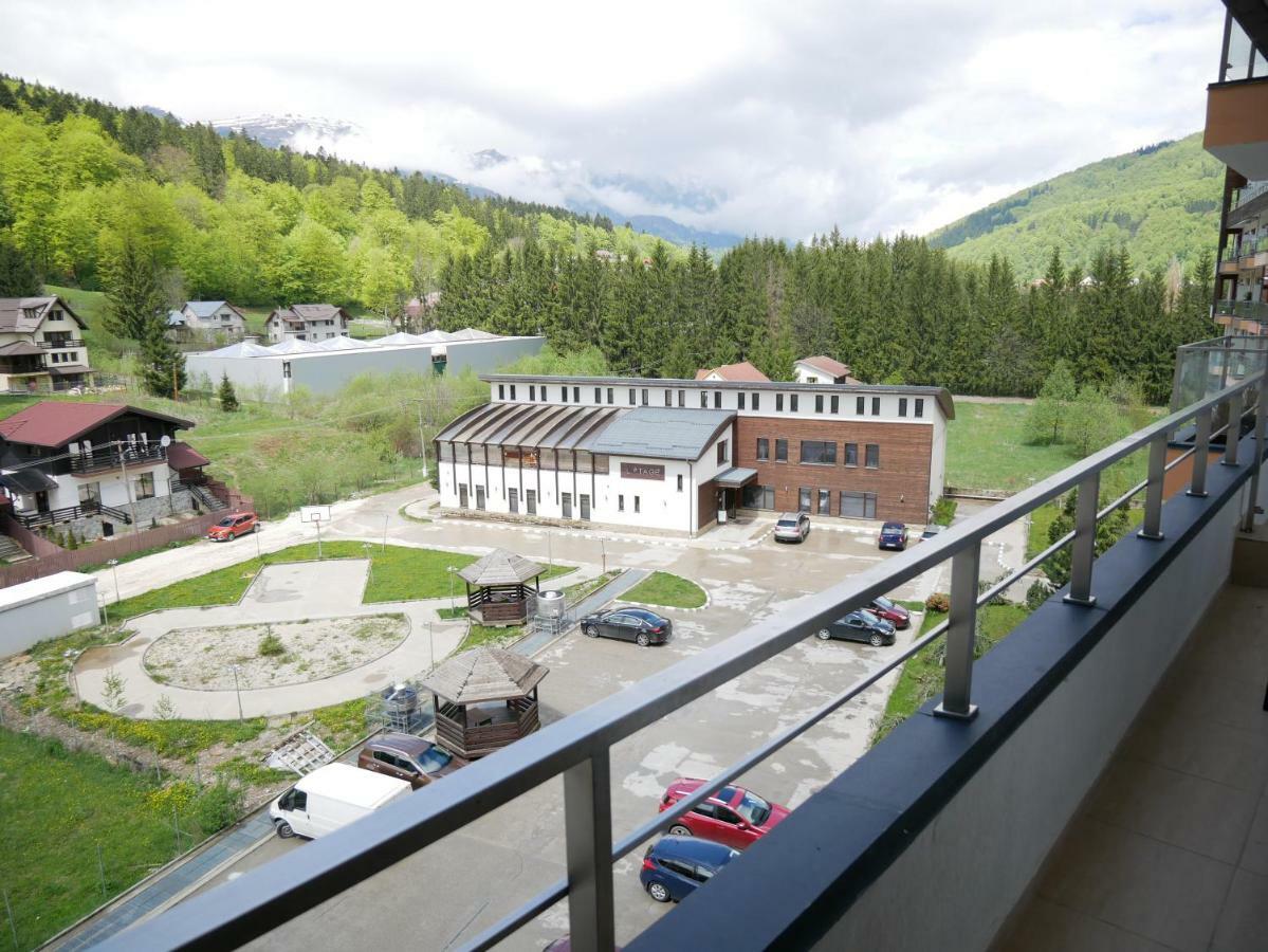 Апартаменти Riky Apart Mountain View Сіная Екстер'єр фото