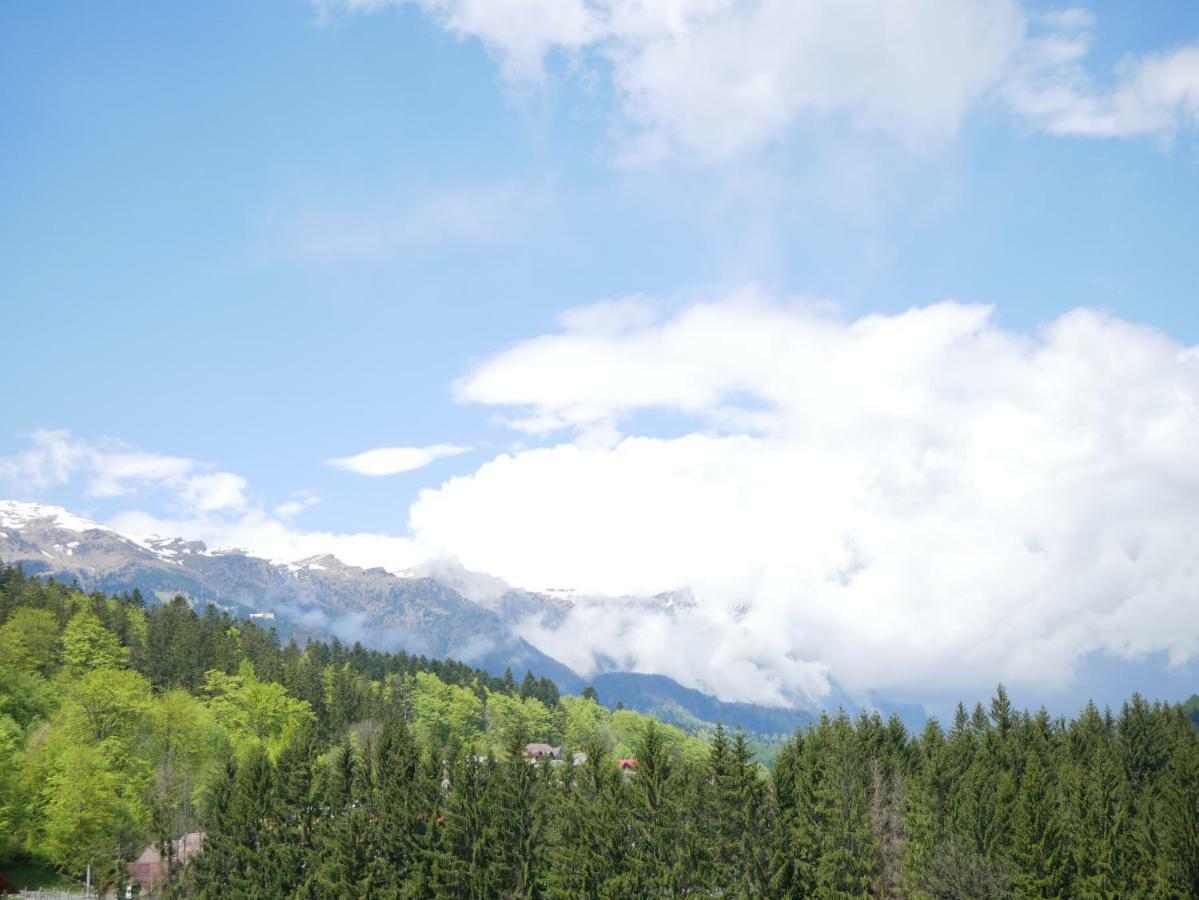 Апартаменти Riky Apart Mountain View Сіная Екстер'єр фото
