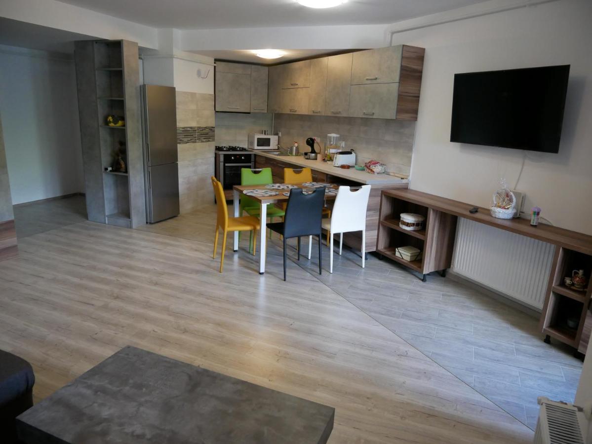 Апартаменти Riky Apart Mountain View Сіная Екстер'єр фото