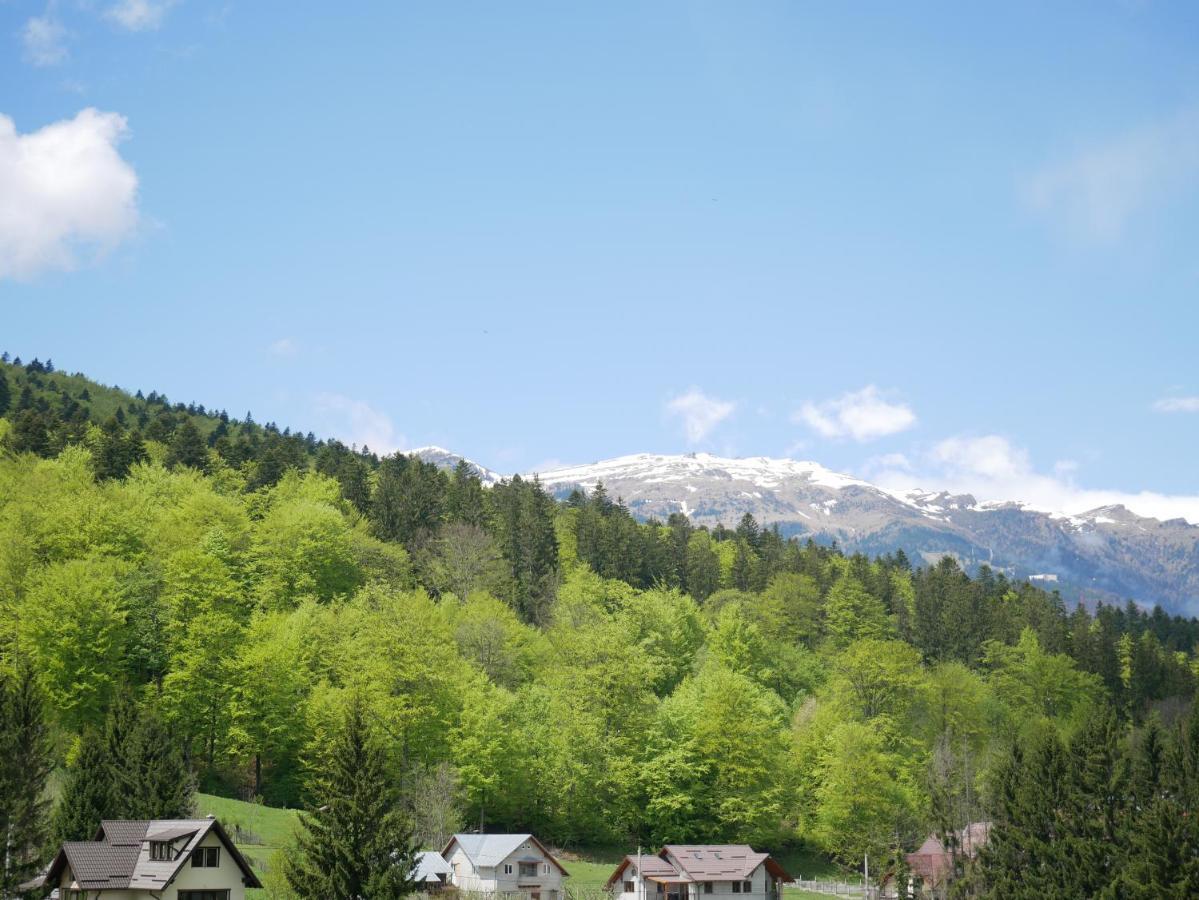 Апартаменти Riky Apart Mountain View Сіная Екстер'єр фото