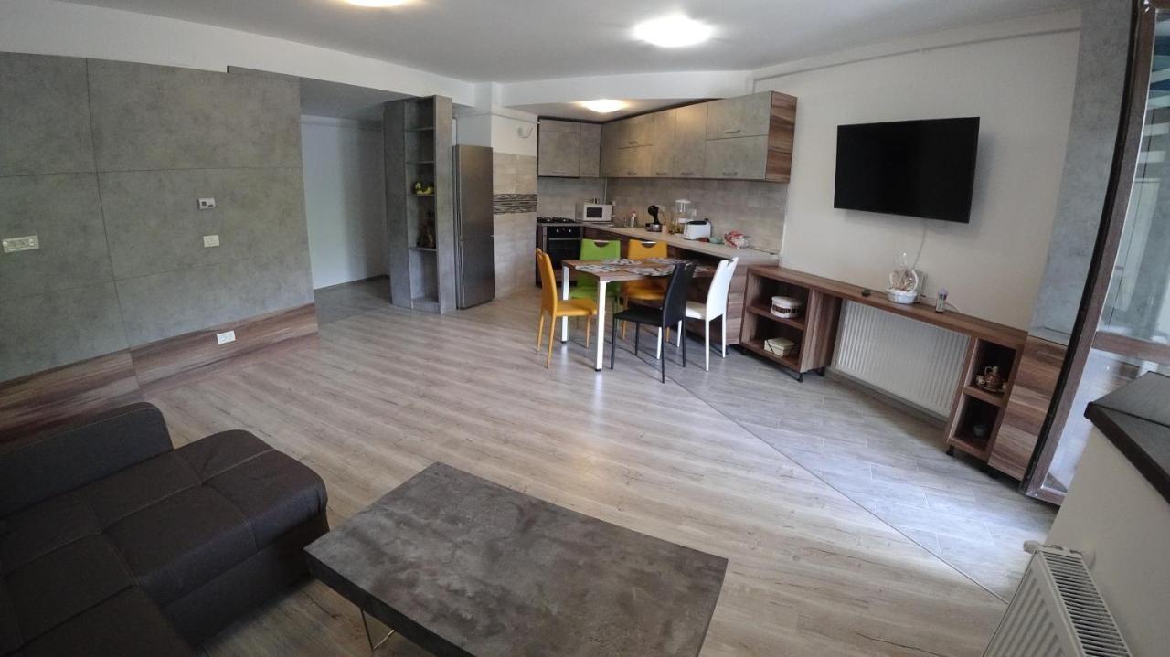 Апартаменти Riky Apart Mountain View Сіная Екстер'єр фото